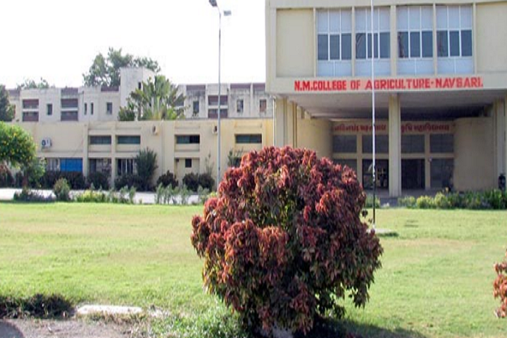 NM College of Agriculture, Navsari